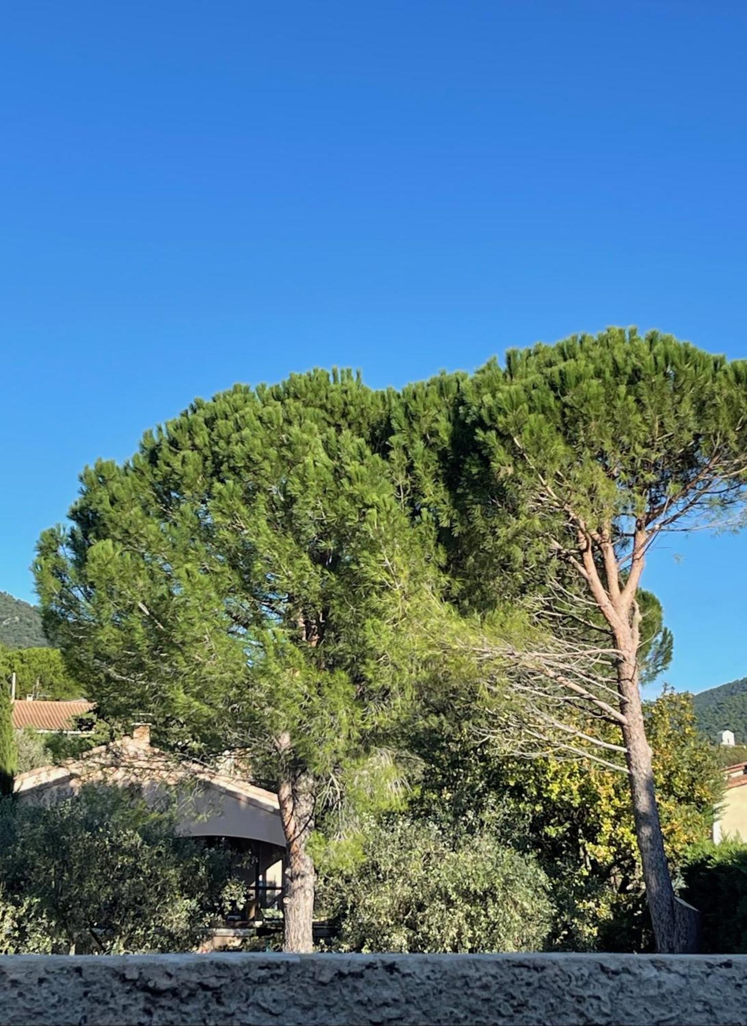 Le Mas de Mirabel Mirabel-aux-Baronnies Exterior foto